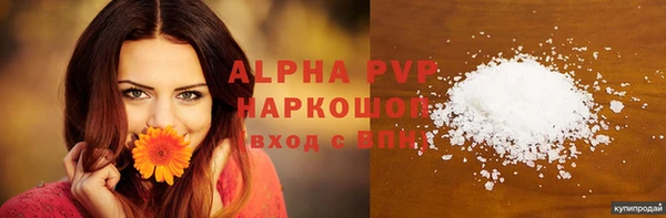 индика Горно-Алтайск