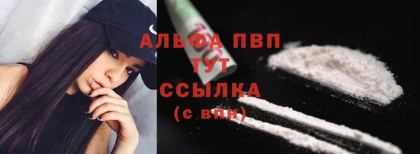индика Горно-Алтайск