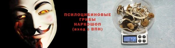 mdpv Горнозаводск