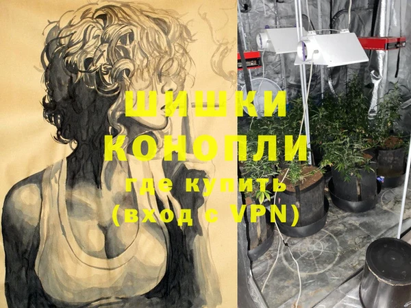 индика Горно-Алтайск