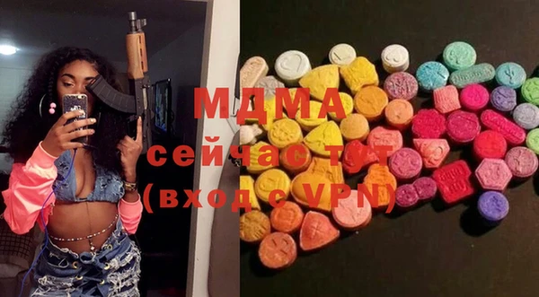 индика Горно-Алтайск