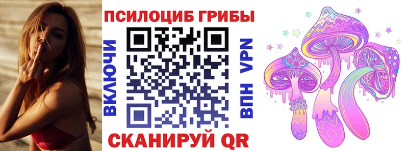 Купить  Талица  Галлюциногенные грибы Cubensis 