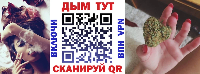 Купить где  Талица  Конопля Amnesia 